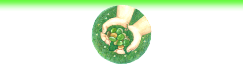 間伐材　植樹　植物