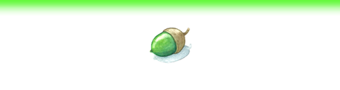 間伐材　植樹　植物