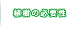 間伐材　植樹　植物