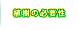間伐材　植樹　植物